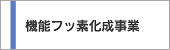 機能フッ素化成事業